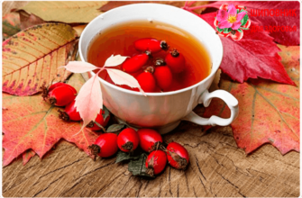 шиповник польа